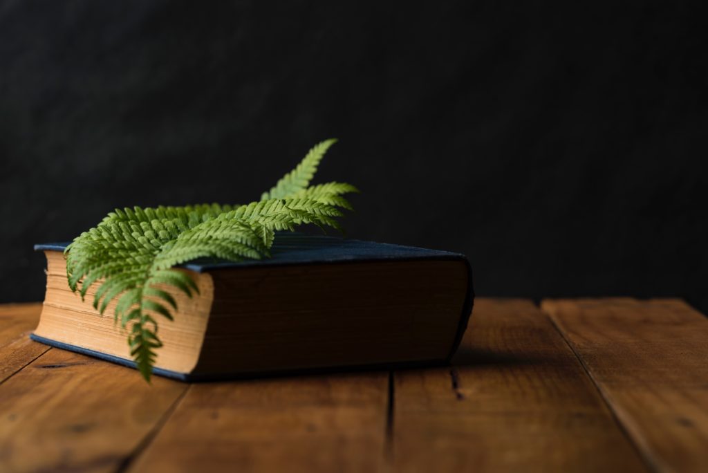 old book