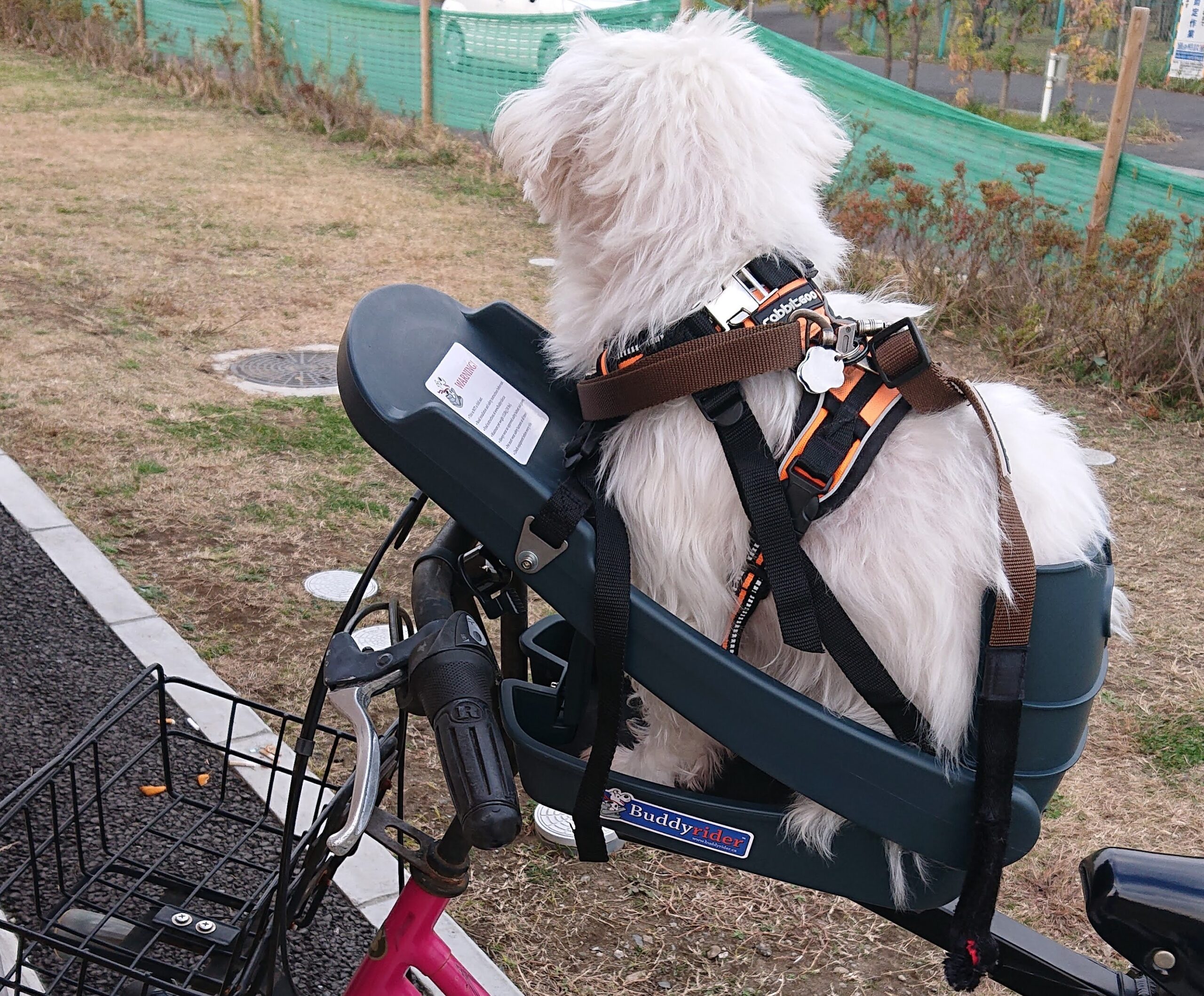 ペット用 buddyriderバディライダー'犬用自転車シート - 自転車